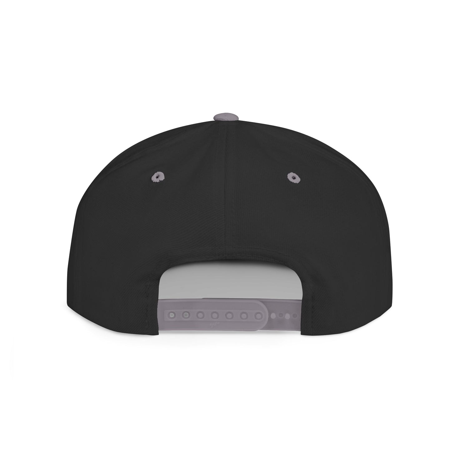 Lutron Logo Snapback Hat