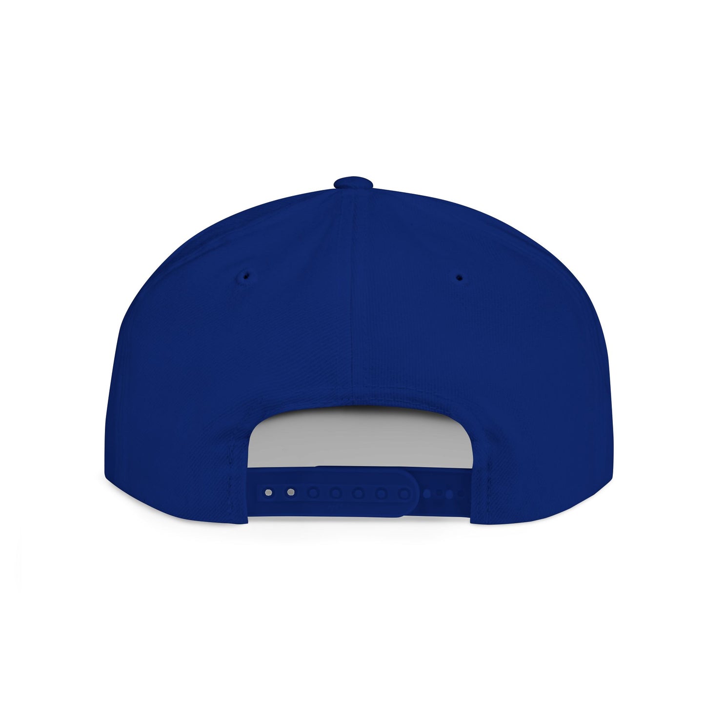 Lutron Logo Snapback Hat